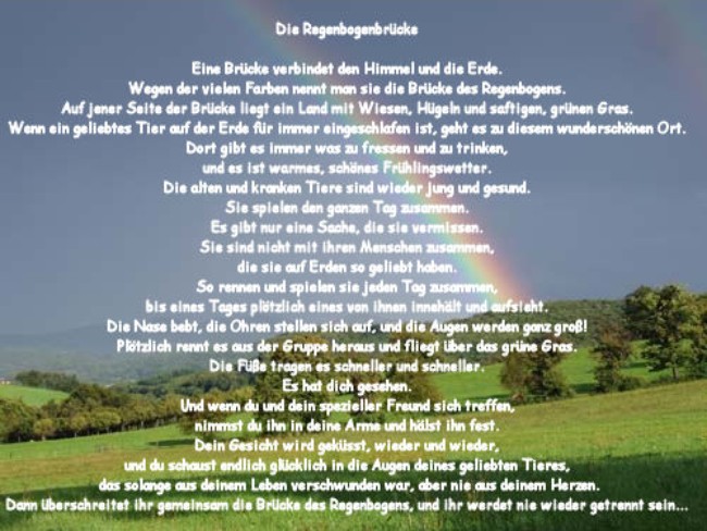 Regenbogenbrücke Hundgeflüster